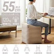 ELECOM ECLEAR方形肌力訓練平衡球-  米