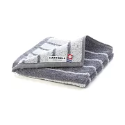 【日本今治Hartwell】備長炭 速乾 今治手巾 ‧ 淺灰