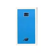 在天涯--北島詩選