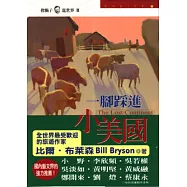 一腳踩進小美國