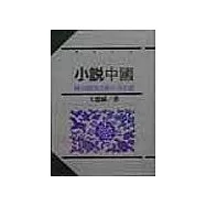小說中國—晚清到當代的中文小說