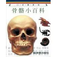 骨骼小百科