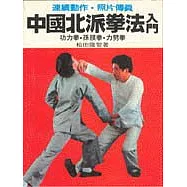 中國北派拳法入門