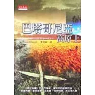 巴塔哥尼亞高原上