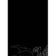 小丑的創造藝術-完形學派的自我治療