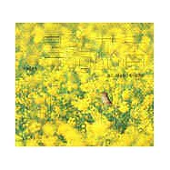 鳥語花香-野鳥田園詩