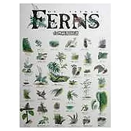 台灣蕨類圖譜(海報)