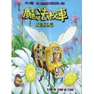 魔法校車：蜂巢歷險記