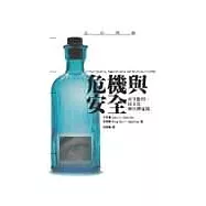 危機與安全：安全批判、民主化與台灣電視