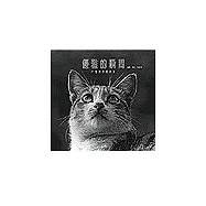 優雅的瞬間：臺灣流浪貓紀實