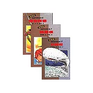 唐吉訶德+孤星淚+白鯨記