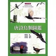 唐詩鳥類圖鑑
