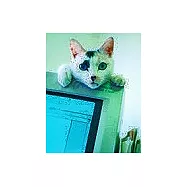 流浪貓阿喵與我(全)