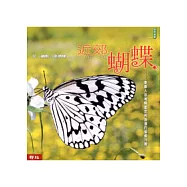 近郊蝴蝶