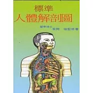 標準人體解剖圖