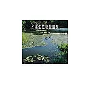 和水生植物做朋友