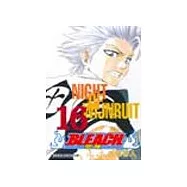 BLEACH 死神 16