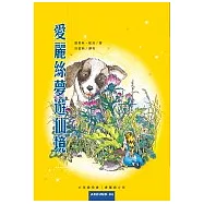 愛麗絲夢遊仙境