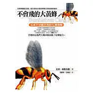 不會飛的大黃蜂：完成不可能任務的七個策略