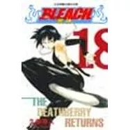 BLEACH 死神 18