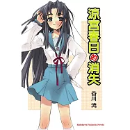 涼宮春日的消失