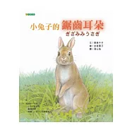 小兔子的鋸齒耳朵