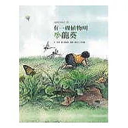 有一棵植物叫龍葵：福爾摩莎自然繪本