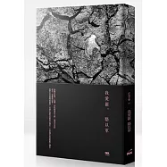 我愛羅(初版四刷)