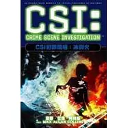 CSI犯罪現場：冰與火