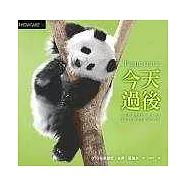 今天過後：明天，一定會更好