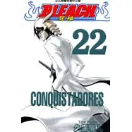 BLEACH 死神 22