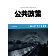 公共政策(四版)