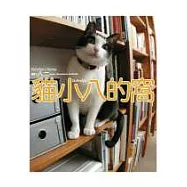 貓小八的窩