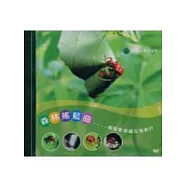 森林搖籃曲(DVD)