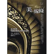 美的線條