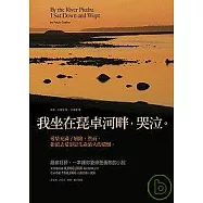 我坐在琵卓河畔，哭泣。