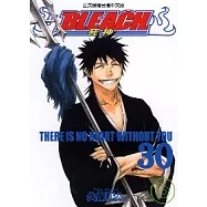 BLEACH 死神 30