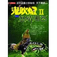 鬼吹燈Ⅱ 之三：怒晴湘西