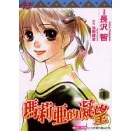 瑪莉亞的凝望 8完