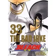 BLEACH 死神 33