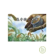 風中的小米田