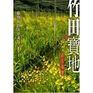 竹田寶地-頓物庄的黃金歲月