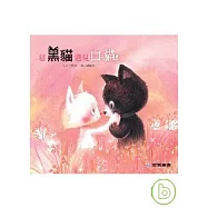 當黑貓遇見白貓