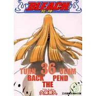 BLEACH 死神 36