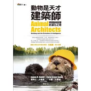 動物是天才建築師
