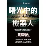 曙光中的機器人