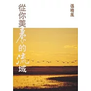 從你美麗的流域