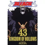BLEACH 死神 43