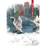 沈石溪動物小說：哨兵天鵝