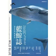 藍鯨誌